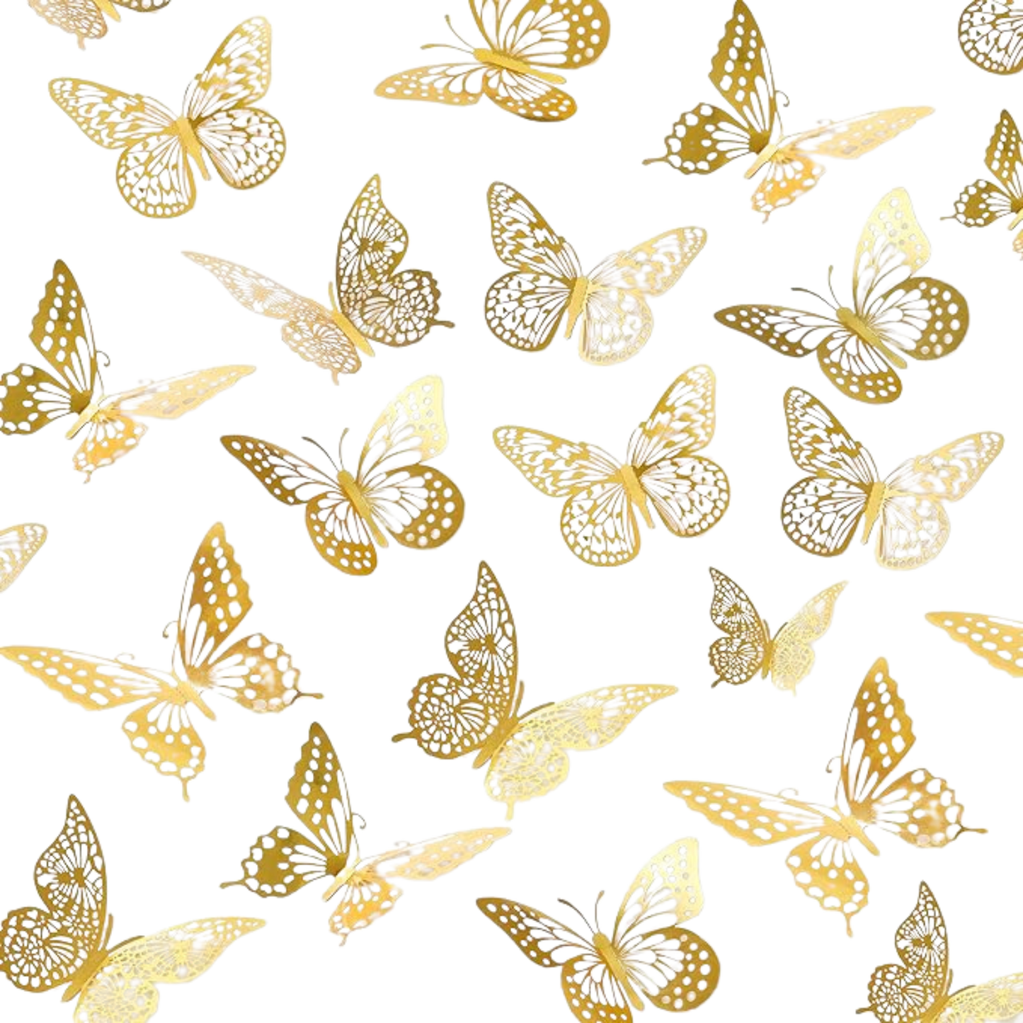 Butterflies for Roses